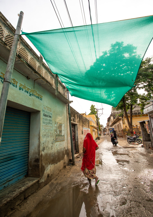 Indian woman walking in the street during the monsoon, Rajasthan, Nawalgarh, India