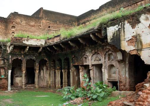 Old historic haveli ruins, Rajasthan, Nawalgarh, India