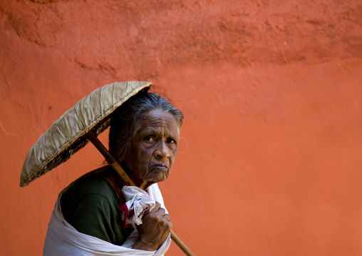 Old Pilgrim Woman Under The Protection Of An Umbrella Going To A Temple, Kochi, South India
