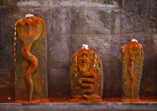 Carvings Of Snakes Leaning Against A Wall Sprayed With Coloured Powders, Mysore, India
