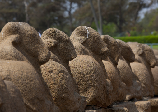 Row Of Nandi Bulls Carved Into Block Of Stones In The Shore Temple Of Mahabalipuram, India