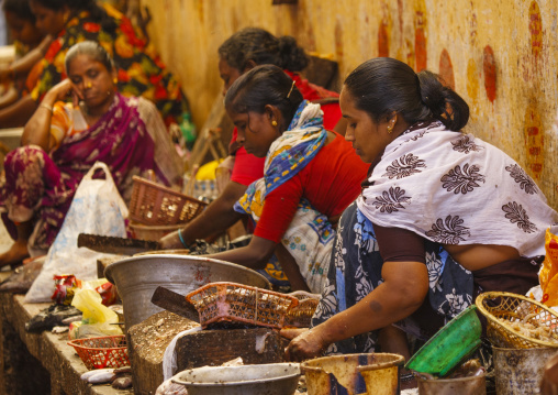 Fish Sellers Squatting Behind Their Stalls At Pondicherry Market, India