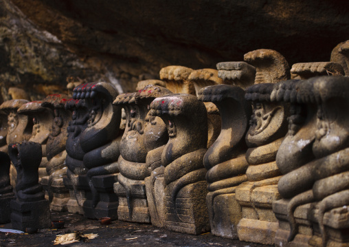 Row Of Stone Cobras In Tirumayam Fort, Tirumayam, India