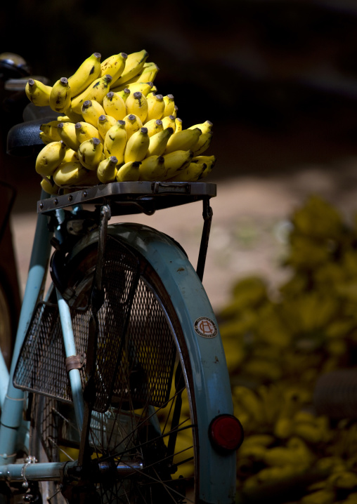 Bunches Of Bananas On The Carrier Of A Blue Bicycle At Madurai Market, India