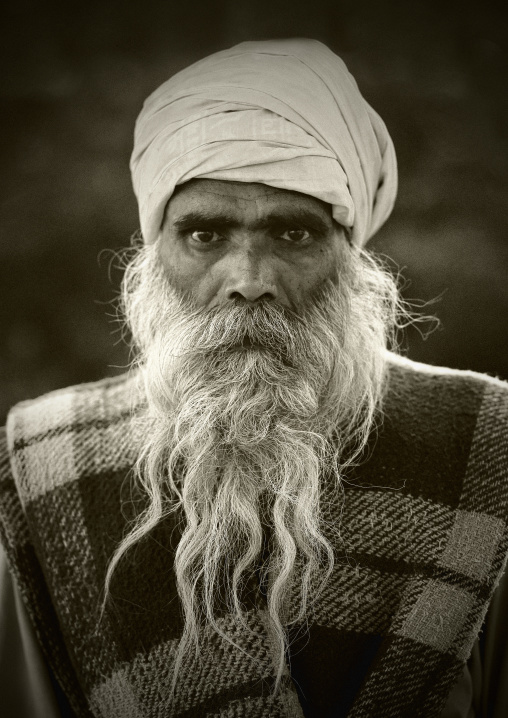 Portrait Of An Old Sadhu Wearing A Turban And A Long White Beard, Trichy, India