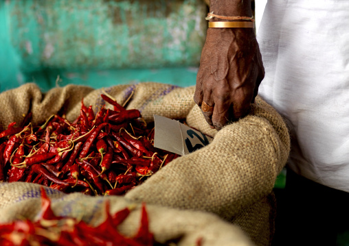 Seller's Hand On A Burlag Bag Full Of Chillis In Market, Trichy, India