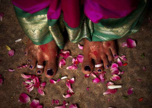 Feet With Rings Of A Just Married Woman Surrounded By Rose Petals At Her Wedding In Trichy, India