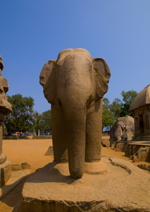 Elephant Carving With With Granite Bedrock Amongst The Five Rathas Temple, Mahabalipuram, India