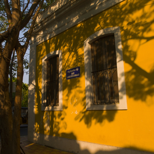 Yellow Shady House In Rue Labourdonnais, Pondicherry, India