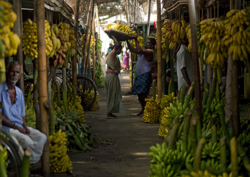 Man Helping A Woman Holding A Basket At The Bananas' Section At Madurai Market, India