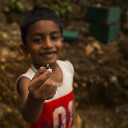 Young Boy Holding A Bee Between His Fingers, Periyar, India