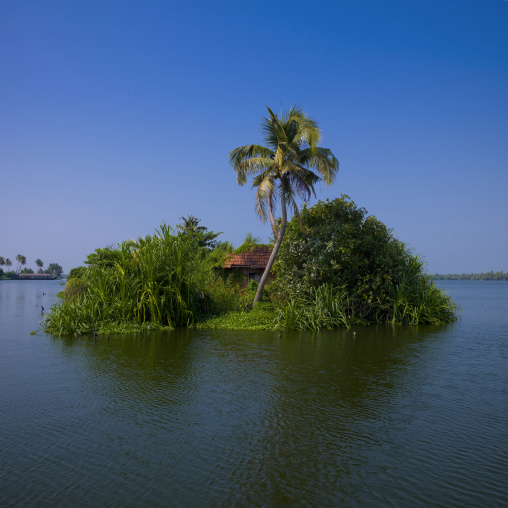 Little House Covered With Flora On A Island In Backwaters Of Kerala, Alleppey, India