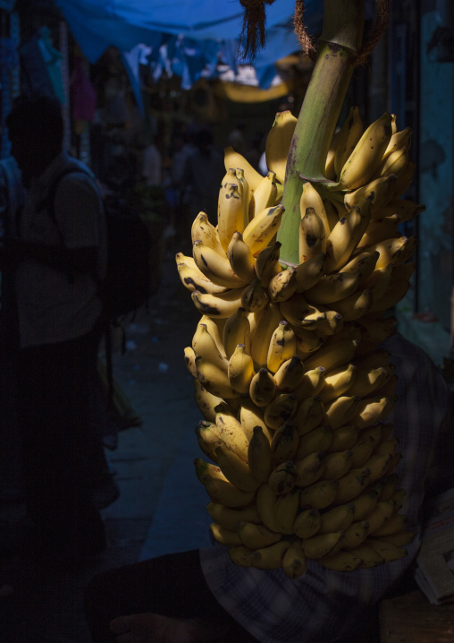 Bunch Of Bananas Hung At Pondicherry Market, India
