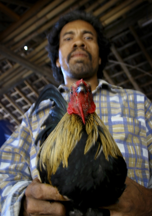 A Cock Being Held Back By Its Handler During A Cockfigting Event