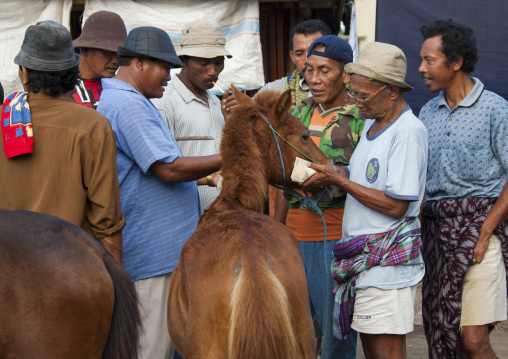Men Buying A Horse At Market, Magbesik, Lombok Island, Indonesia