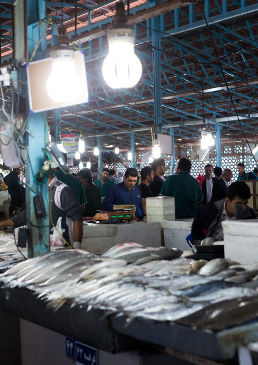 fish market, Hormozgan, Bandar Abbas, Iran