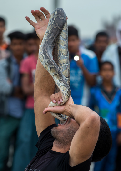 snake charmer puting the head in his mouth, Hormozgan, Minab, Iran