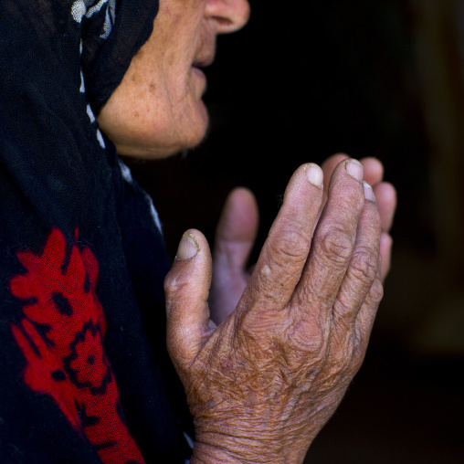 Old Kurdish Woman Hands, Palangan, Iran