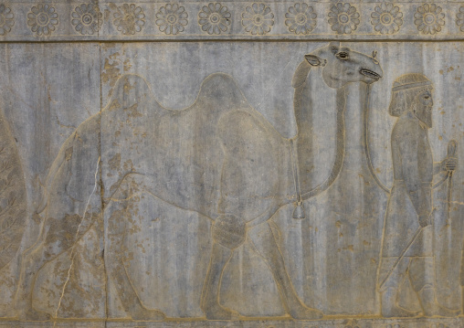 Carved bas reliefs of a man and his camel, Fars province, Persepolis, Iran