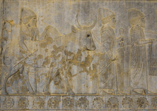 Carved bas reliefs of men with an ox, Fars province, Persepolis, Iran