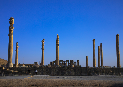 General overview of the remains of  ruins of the apadana in Persepolis, Fars Province, Marvdasht, Iran