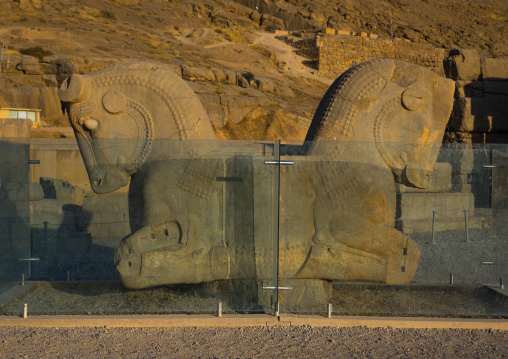 Sculpture of horse head In Persepolis, Fars Province, Marvdasht, Iran