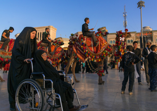 Old woman in a wheelchair passing in front of a procession with camels during Muharram celebrations in Fatima al-Masumeh shrine, Central County, Qom, Iran
