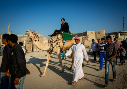 groom riding a camel during his wedding ceremony, Qeshm Island, Salakh, Iran