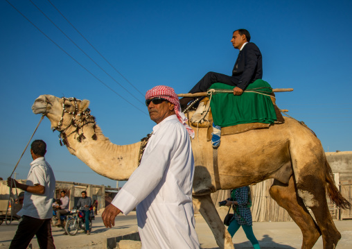 groom riding a camel during his wedding ceremony, Qeshm Island, Salakh, Iran