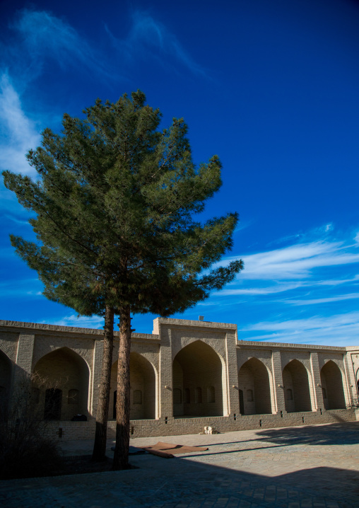 tree in an old caravanserai courtyard, Ardakan County, Aqda, Iran