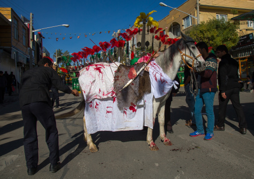 Horse Of Iman Hussein With Fake Blood On It During The Parade Of Ashura Celebrations, Kurdistan Province, Bijar, Iran