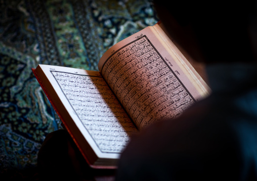 Iranian Shiite Muslim Student Reading The Koran In A Madrassah, Golestan Province, Karim Ishan, Iran