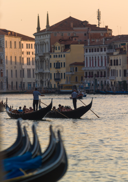 Gondolas on the grand canal, Veneto Region, Venice, Italy