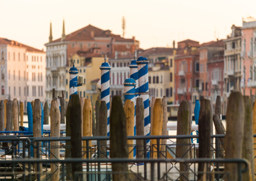 Wooden poles on the grand canal, Veneto Region, Venice, Italy