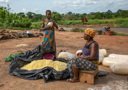 African women making attiéké, Région des Lacs, Sakiare, Ivory Coast