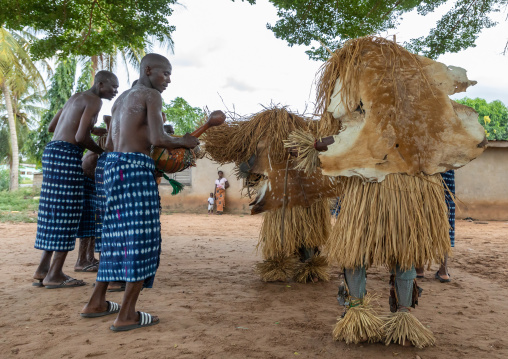 Goli sacred masks dance in Baule tribe during a ceremony, Région des Lacs, Bomizanbo, Ivory Coast