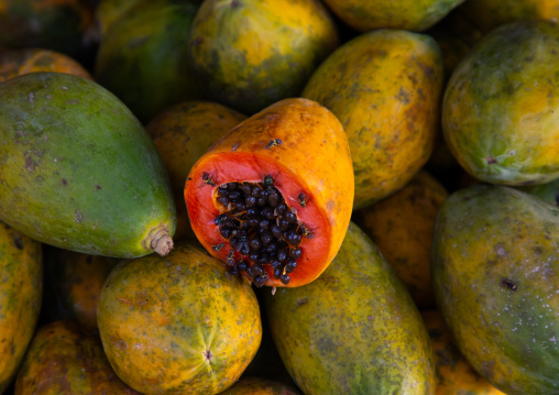 Orange open papaya with black seeds, Moyen-Comoé, Abengourou, Ivory Coast