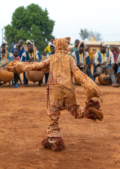 Boloye dance of the panther man performed by a child in the Senufo community, Savanes district, Waraniene, Ivory Coast