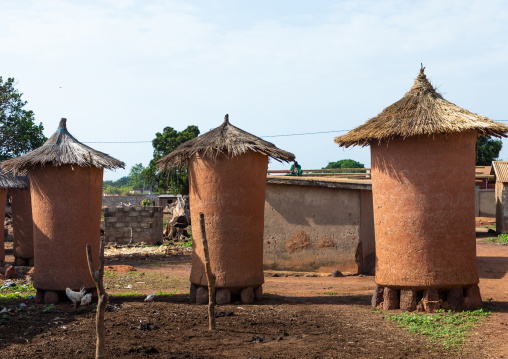 Adobe granaries with thatched roofs, Savanes district, Niofoin, Ivory Coast