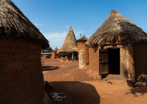 Houses with thatched roofs in a Senufo village, Savanes district, Niofoin, Ivory Coast