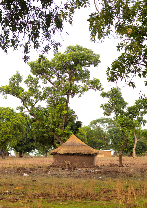Huts in a Peul tribe village, Savanes district, Boundiali, Ivory Coast