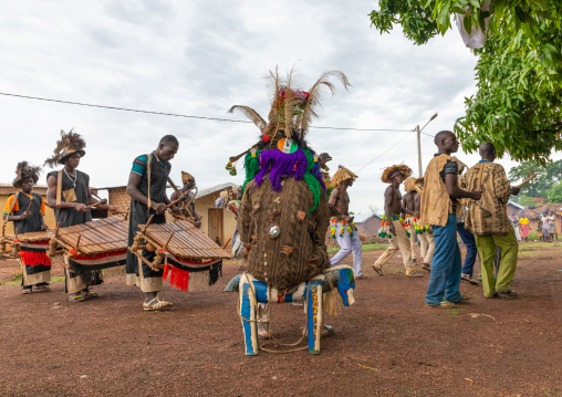 Senufo musicians during the Ngoro dance performing in front of the tribal chief, Savanes district, Ndara, Ivory Coast
