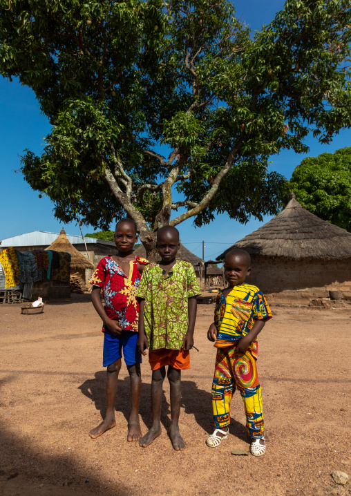 Portrait of three african boys in a village, Denguélé, Korondougou, Ivory Coast