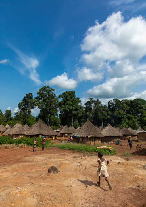 Huts with thatched roofs in a village, Bafing, Gboni, Ivory Coast