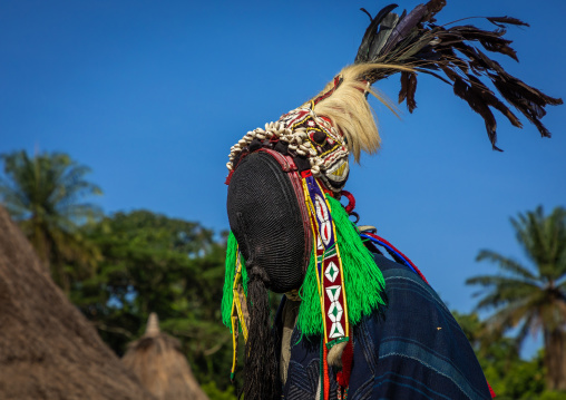 The tall mask dance called Kwuya Gblen-Gbe in the Dan tribe during a ceremony, Bafing, Gboni, Ivory Coast