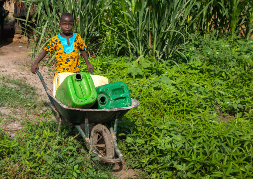 African boy carrying water in a wheelbarrow, Tonkpi Region, Man, Ivory Coast
