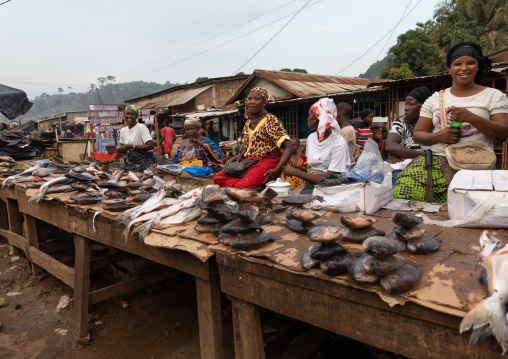 African women selling fishes on a local market, Tonkpi Region, Man, Ivory Coast