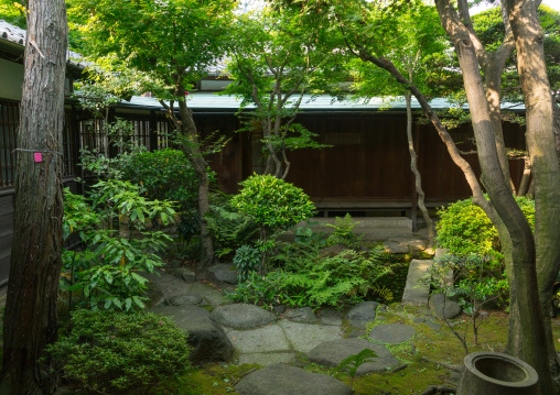 Garden of kyu asakura traditional japanese house from taisho era, Kanto region, Tokyo, Japan