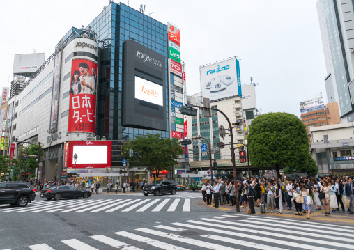 Shibiuya crossing crowded with pedestrians, Kanto region, Tokyo, Japan