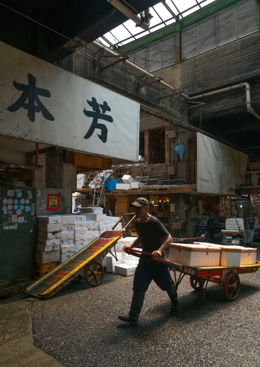 Tsukiji fish market, Kanto region, Tokyo, Japan